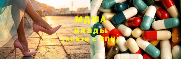 мдпв Бородино