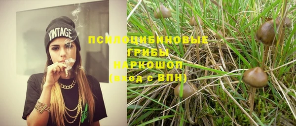 мдпв Бородино
