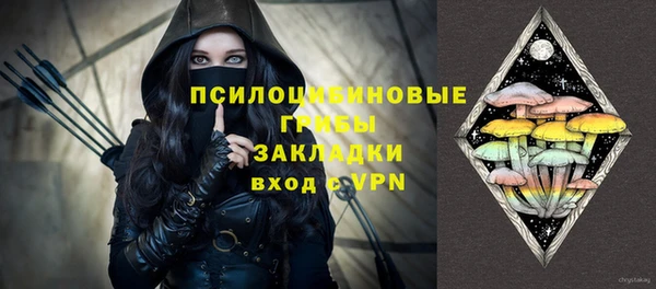 мдпв Бородино